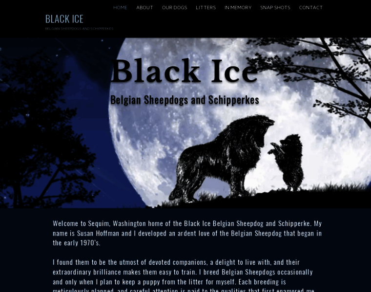 Blackicebelgians.com thumbnail