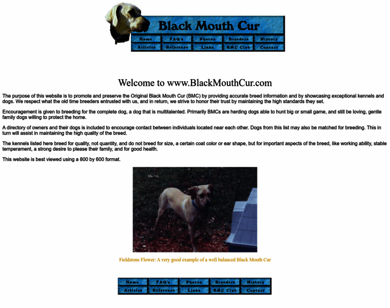 Blackmouthcur.com thumbnail