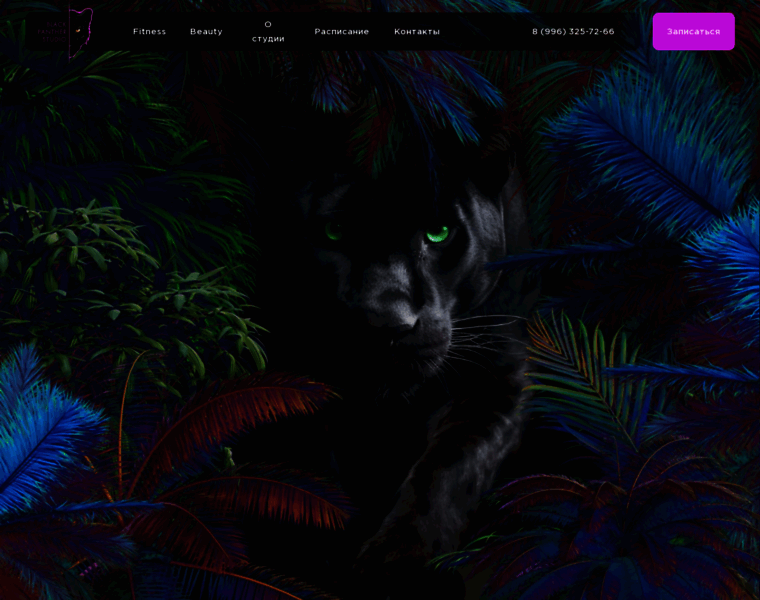 Blackpanther.studio thumbnail