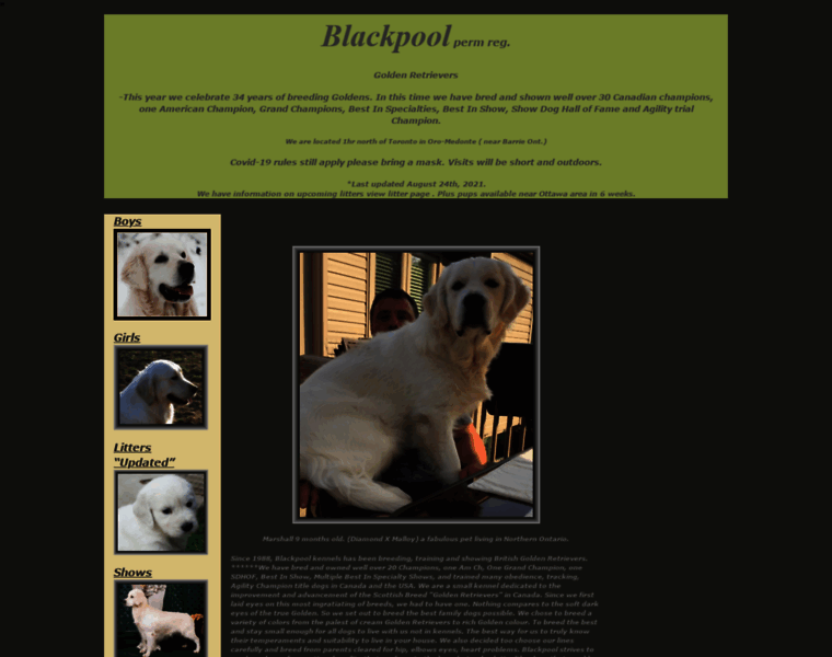 Blackpoolkennels.com thumbnail