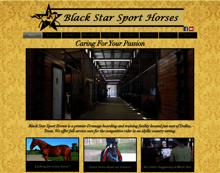 Blackstarsporthorses.com thumbnail