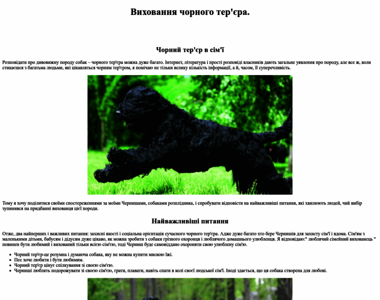 Blackterrier.pp.ua thumbnail