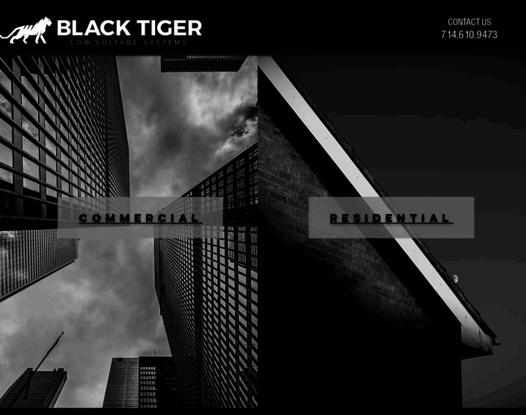 Blacktiger.pro thumbnail