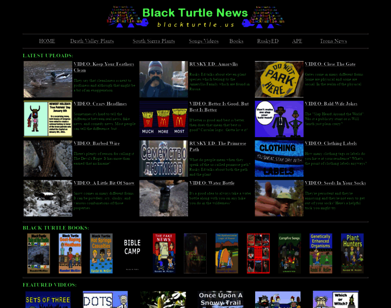 Blackturtle.us thumbnail