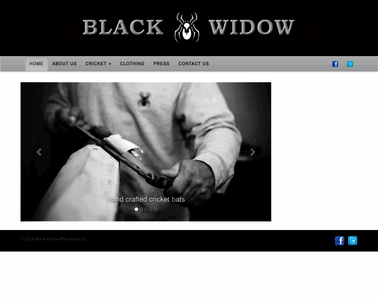 Blackwidowbats.co.za thumbnail