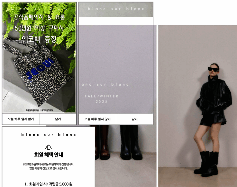 Blanc-sur-blanc.com thumbnail