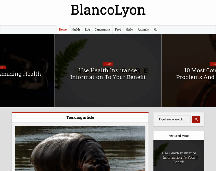 Blancolyon.store thumbnail