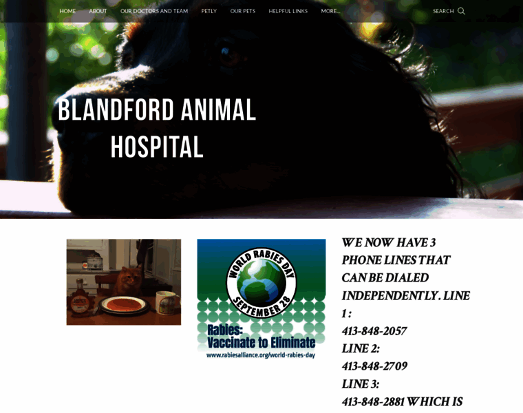 Blandfordanimalhospital.com thumbnail