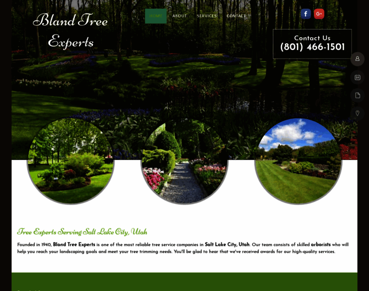 Blandtreeexperts.biz thumbnail