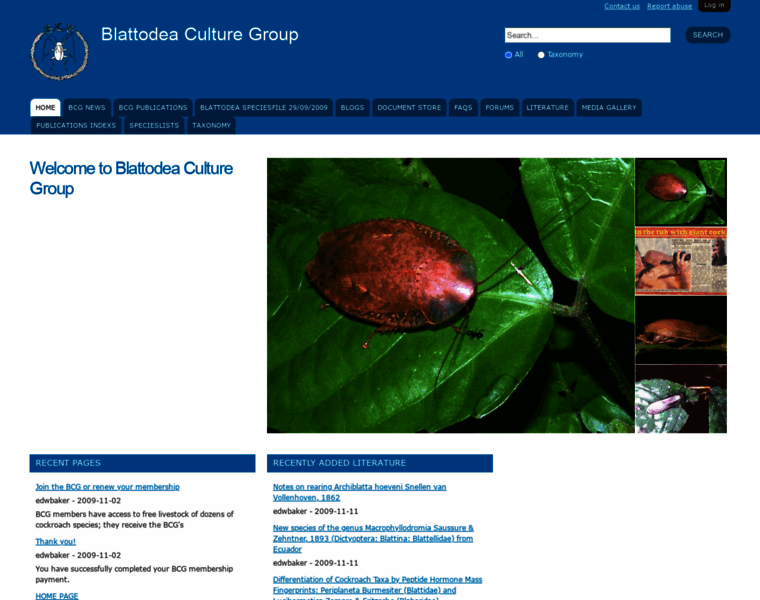 Blattodea-culture-group.org thumbnail
