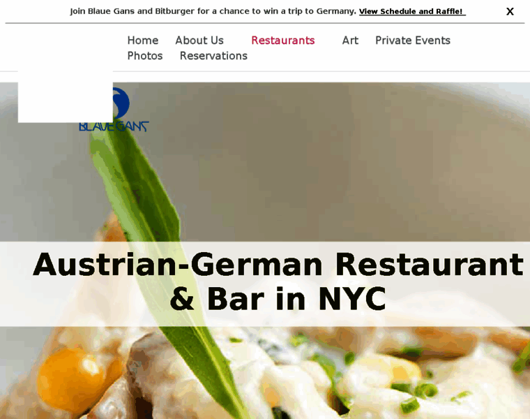 Blauegans.com thumbnail