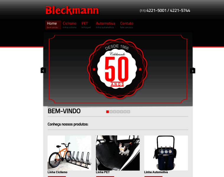 Bleckmann.com.br thumbnail