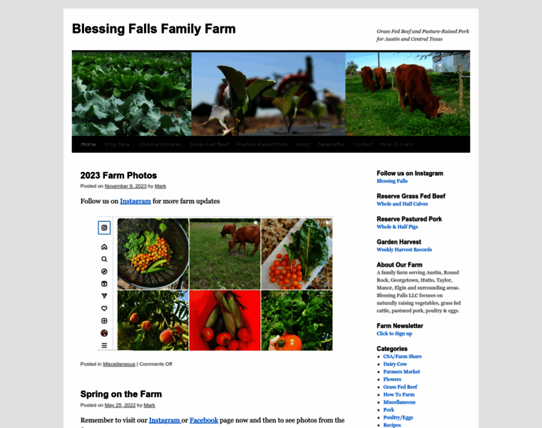 Blessingfalls.com thumbnail