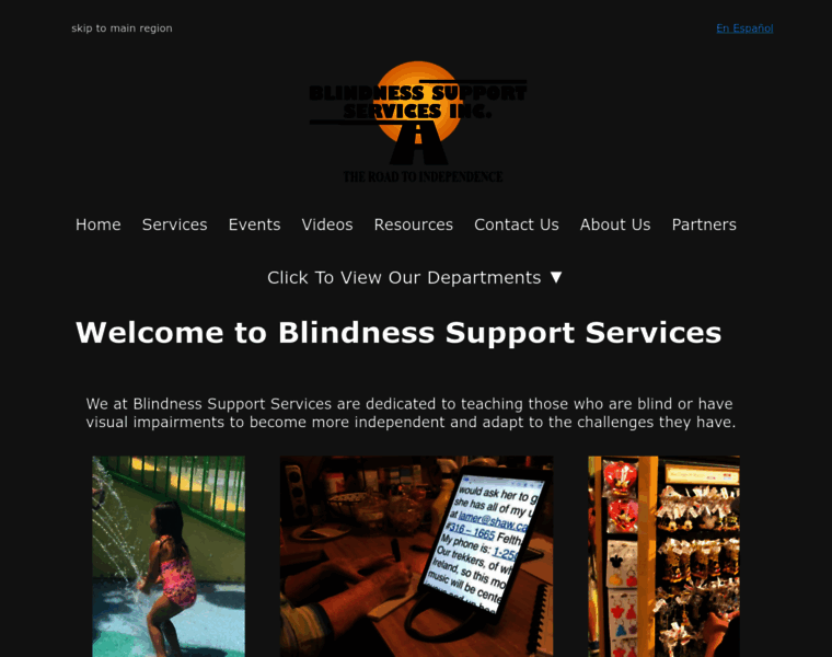 Blindnesssupport.com thumbnail