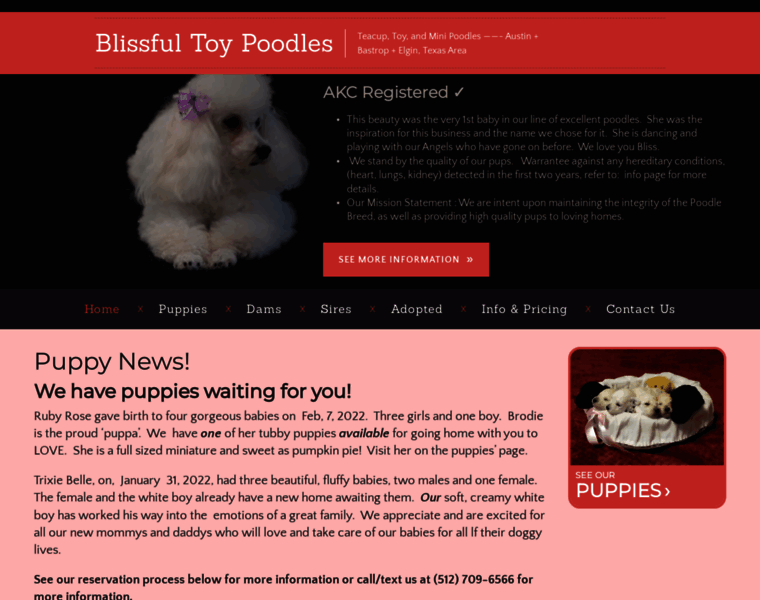 Blissfultoypoodles.com thumbnail