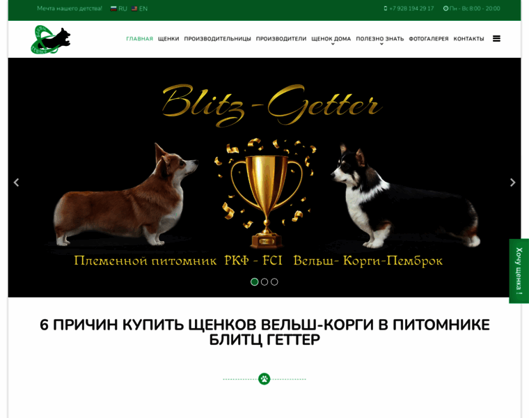 Blitz-getter.ru thumbnail