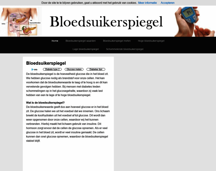 Bloedsuikerspiegel.net thumbnail