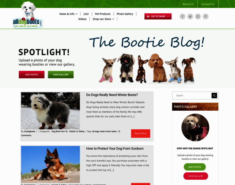 Blog.alldogboots.com thumbnail