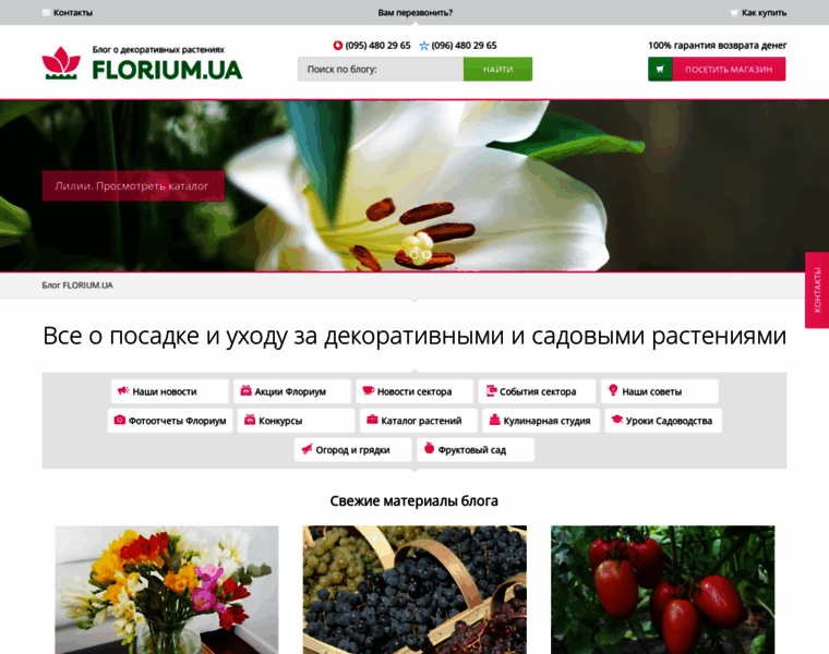Blog.florium.ua thumbnail