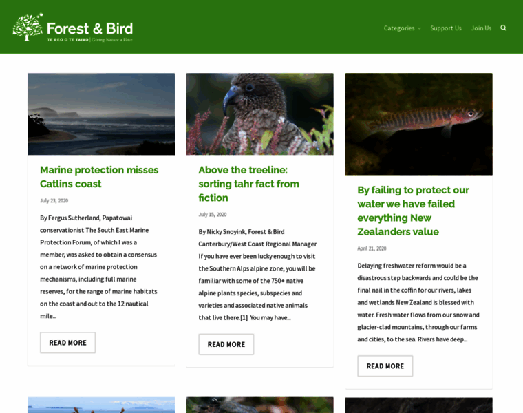 Blog.forestandbird.org.nz thumbnail Blog.forestandbird.org.nz thumbnail