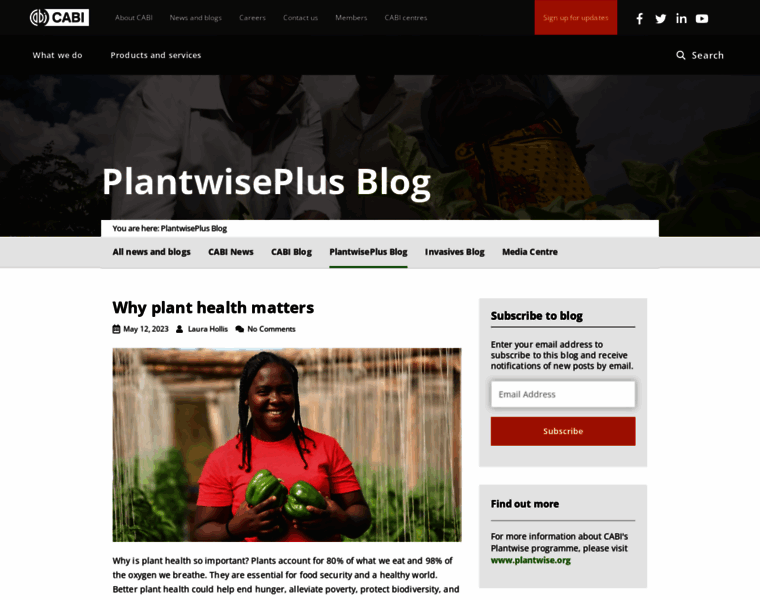 Blog.plantwise.org thumbnail