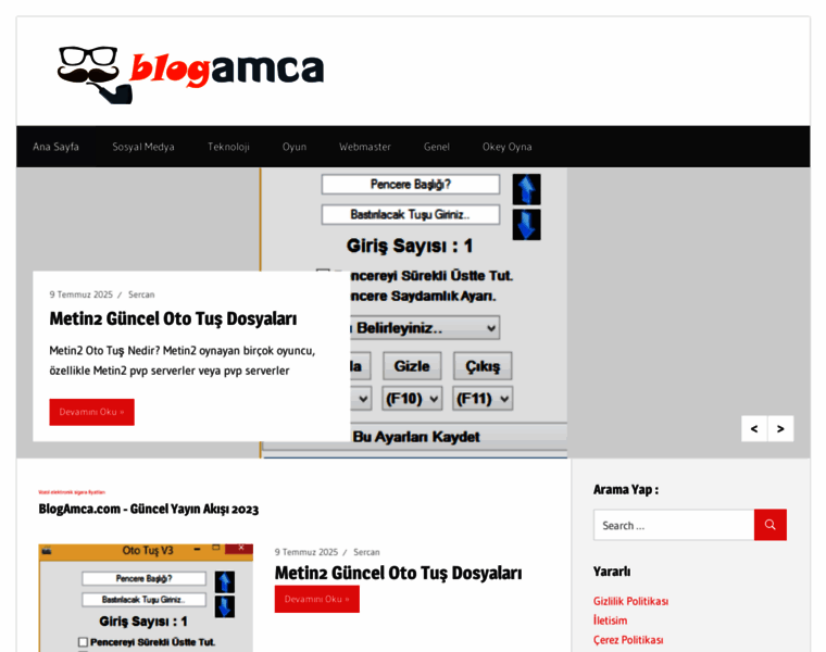 Blogamca.com thumbnail