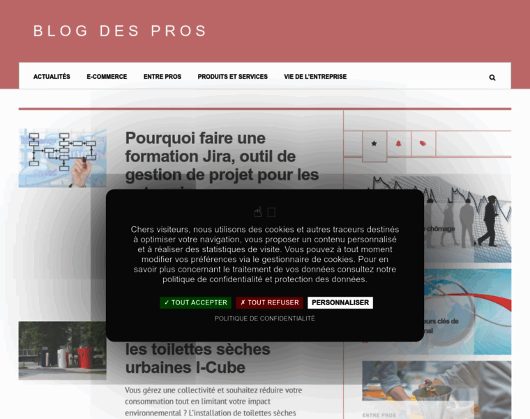 Blogdespros.fr thumbnail