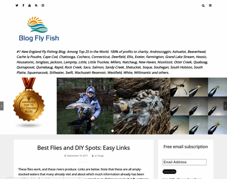 Blogflyfish.com thumbnail