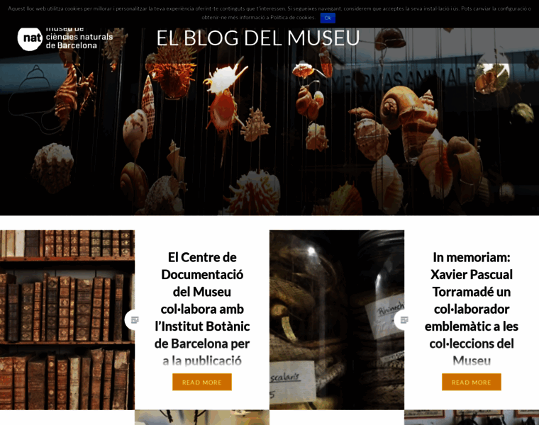 Blogmuseuciencies.org thumbnail