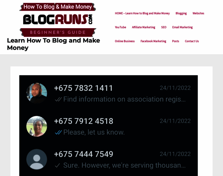 Blogruns.com thumbnail
