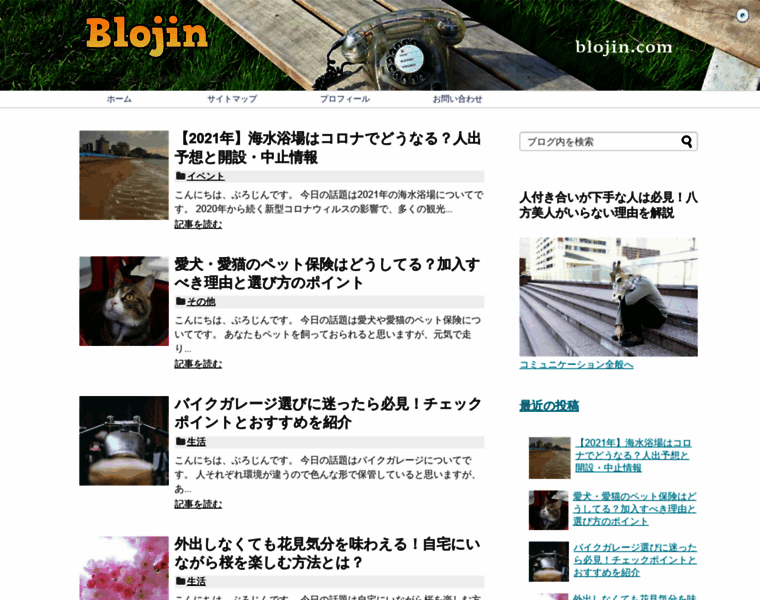 Blojin.com thumbnail