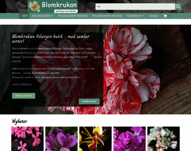 Blomkrukan.com thumbnail