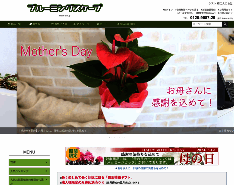 Bloom-s.co.jp thumbnail