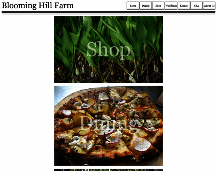 Bloominghill.farm thumbnail