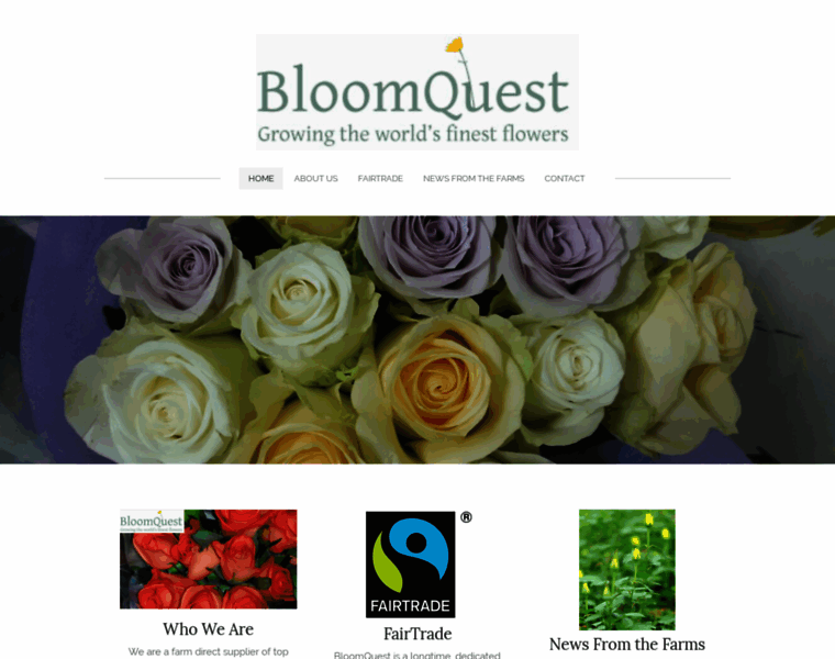 Bloomquestusa.com thumbnail