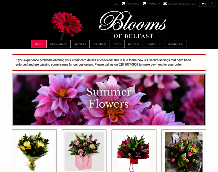 Bloomsofbelfast.co.uk thumbnail