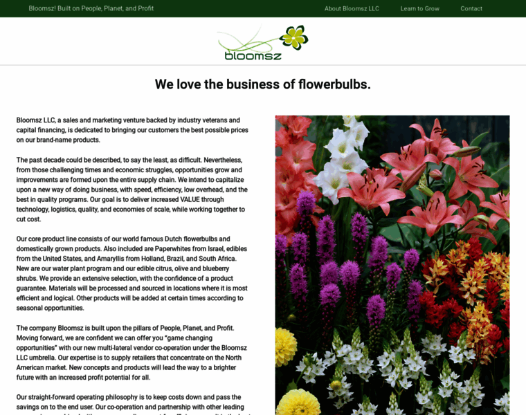 Bloomsz.com thumbnail