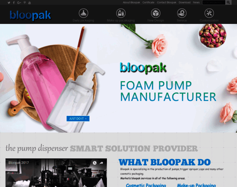 Bloopak.com thumbnail