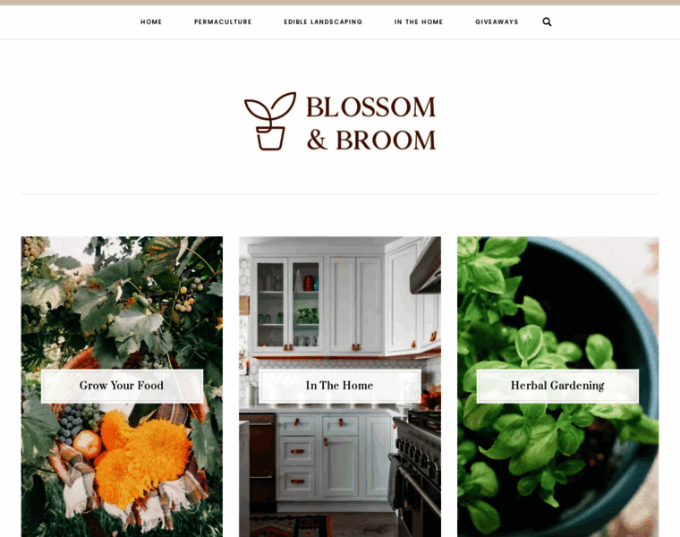 Blossomandbroom.com thumbnail