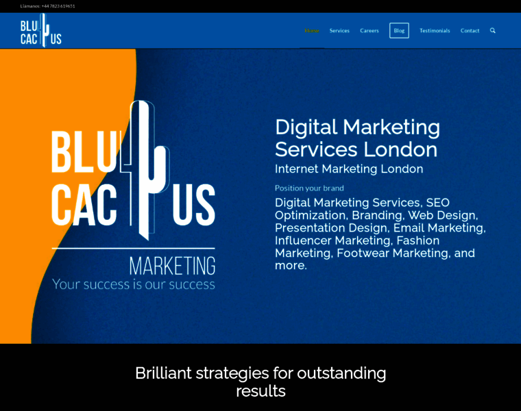 Blucactus.uk thumbnail Blucactus.uk thumbnail