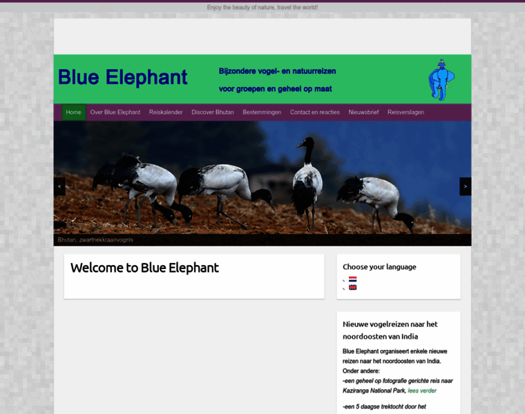 Blue-elephant.nl thumbnail
