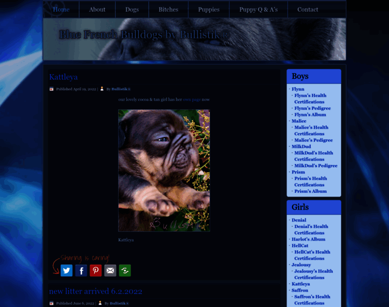 Blue-frenchbulldogs.com thumbnail
