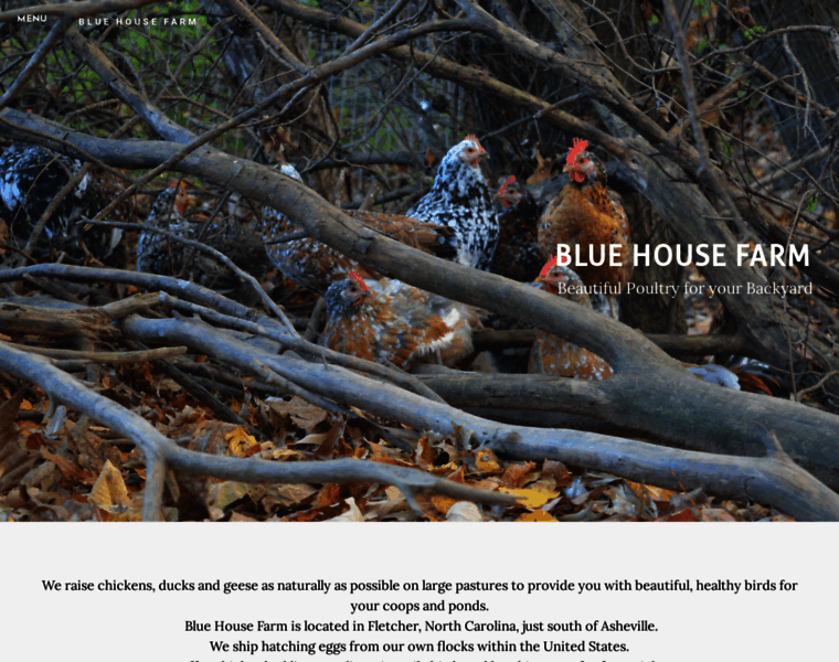 Blue-house-farm.com thumbnail