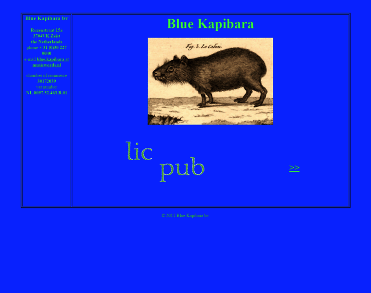 Blue-kapibara.nl thumbnail