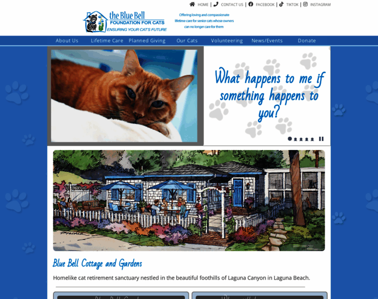 Bluebellcats.org thumbnail