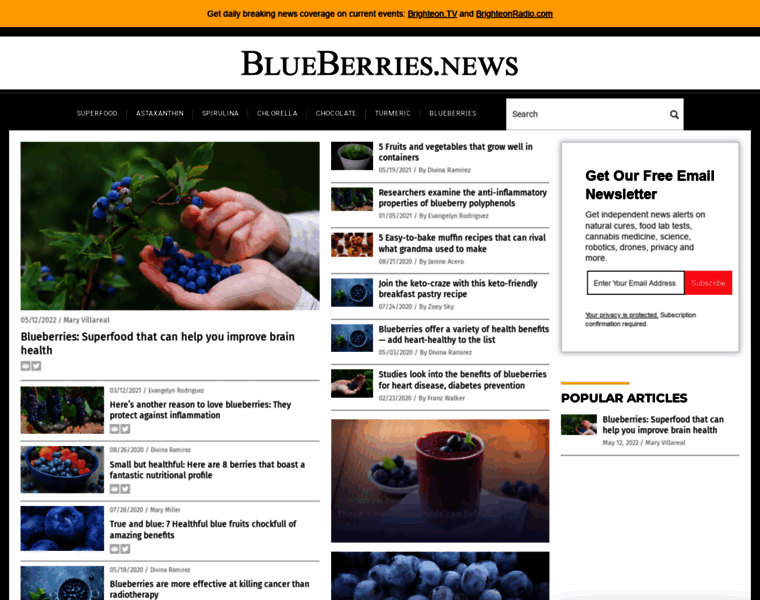 Blueberries.news thumbnail