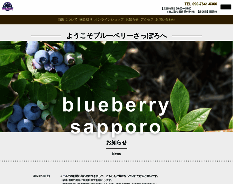 Blueberry-sapporo.com thumbnail