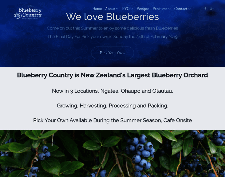 Blueberry.co.nz thumbnail