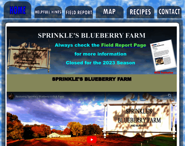 Blueberrysite.com thumbnail