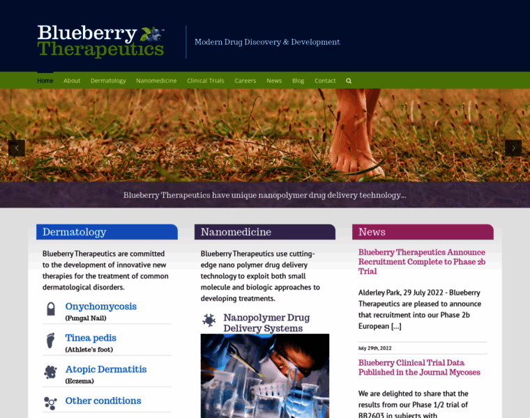 Blueberrytherapeutics.com thumbnail